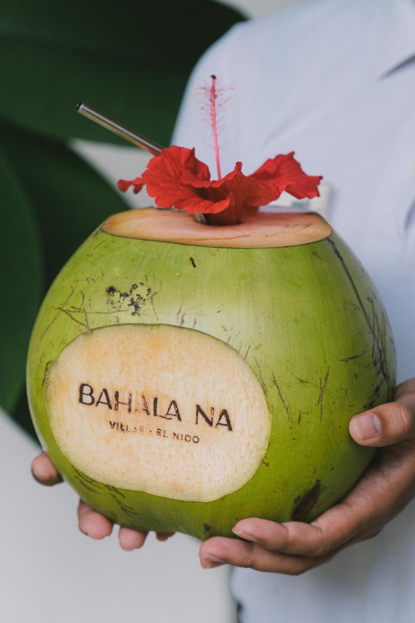 Bahala Na Villas El Nido Extérieur photo